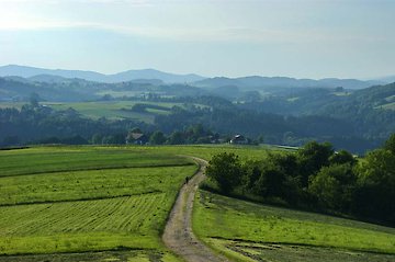 wunderschöne Naturlandschaft in Büchlberg Bayern